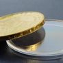 Germany 10 euro 2013 Georg Buchner | limited edition collectors commemorative | UNC 24 karat Gold plated Image 3