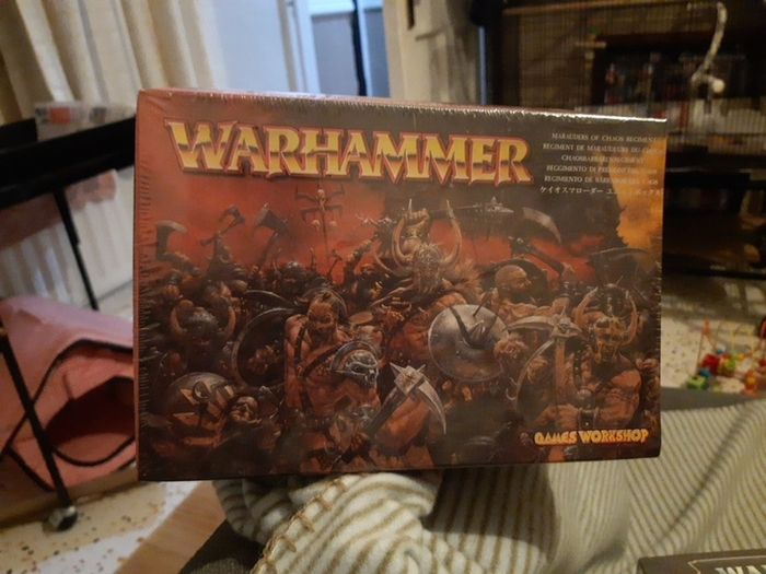 Warhammer Marauders of chaos regiment