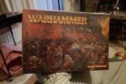 Warhammer Marauders of chaos regiment