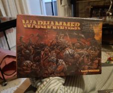 Warhammer Marauders of chaos regiment