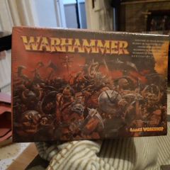 Warhammer Marauders of chaos regiment