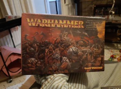 Warhammer Marauders of chaos regiment