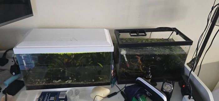 Tank with extras