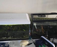 Tank with extras