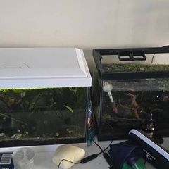 Tank with extras