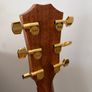 TAYLOR 414ce Studio Sunset Blvd  SEB - New Model Image 9