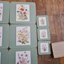 floral tablemats Image 6