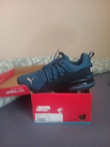 puma
