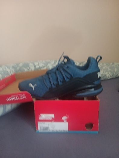 puma