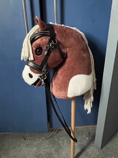 Hobby Horse