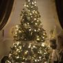 Christmas tree Image 5