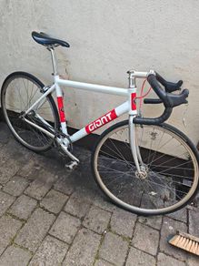 Giant Bowery Size Medium
