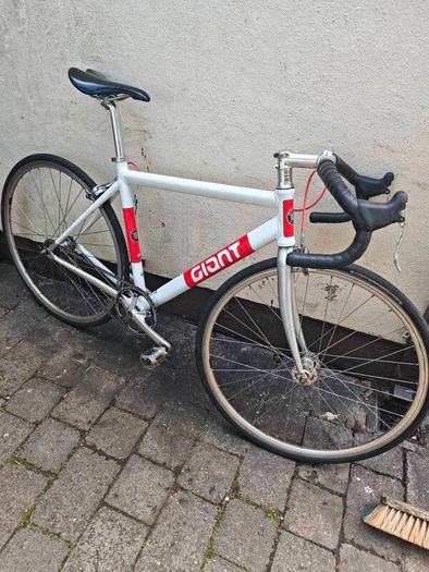 Giant Bowery Size Medium