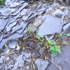Broken Slate (Free to a Good Home)