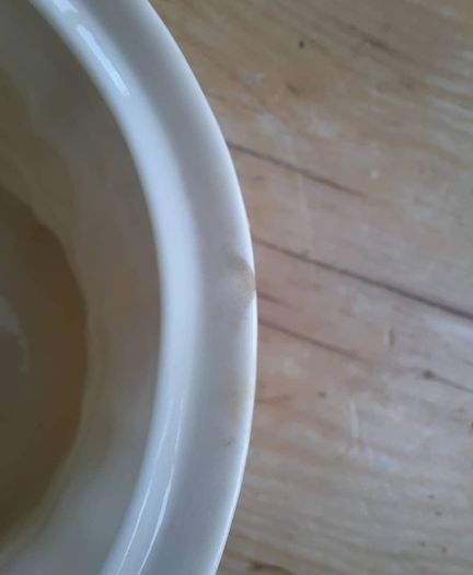 Vintage Belleek Biscuit Barrell