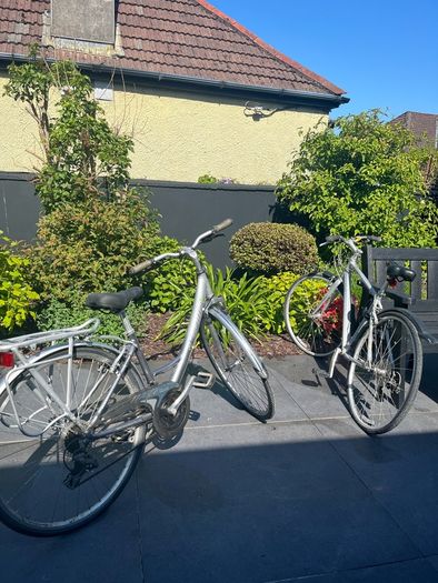 Bikes male and female adult size