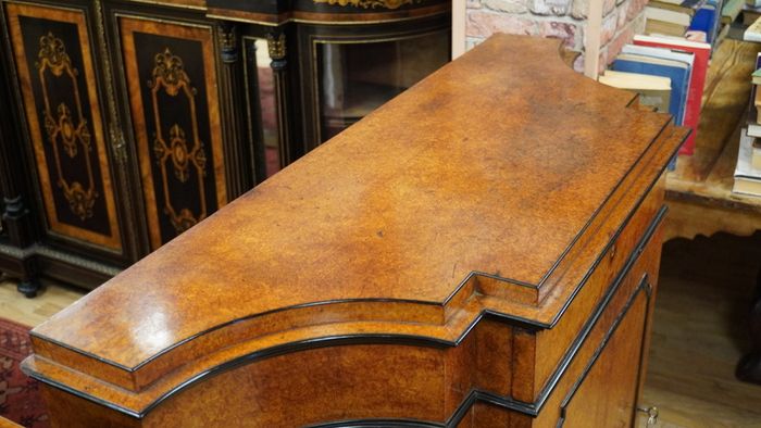 19th Century French Burr Thuya Cabinet
