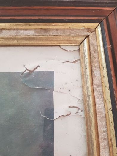 Racehorse Framed Picture