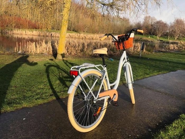 Lady's City Bike / Basket / 7 Shimmano Gears / DELIVERY