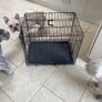 medium dog crate Image 2