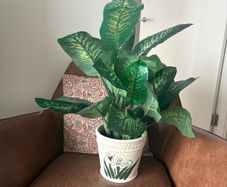 Artificial plant