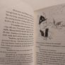 Cressida Cowell, how to train your dragon books Image 10