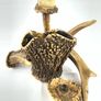 Rare unique antique antler desk set Image 2