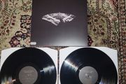 Kendrick Lamar: to pimp a butterfly x2 LP