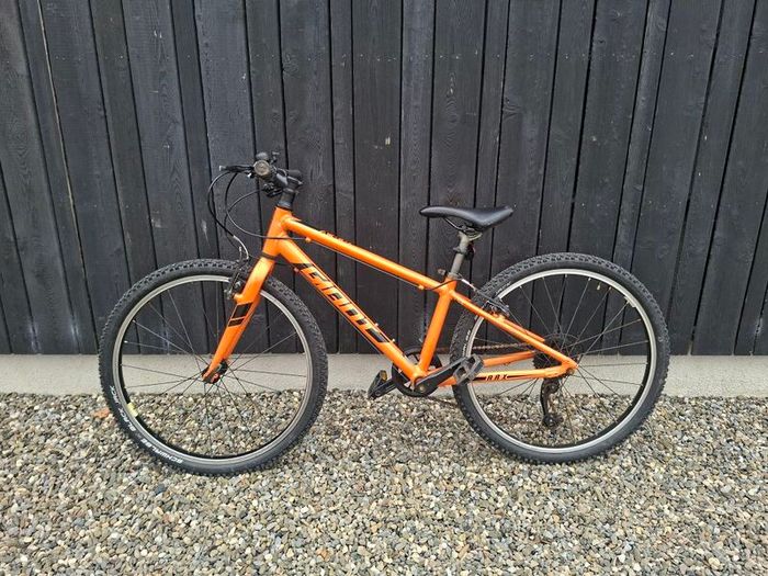 Giant ARX 24 inch kids bike