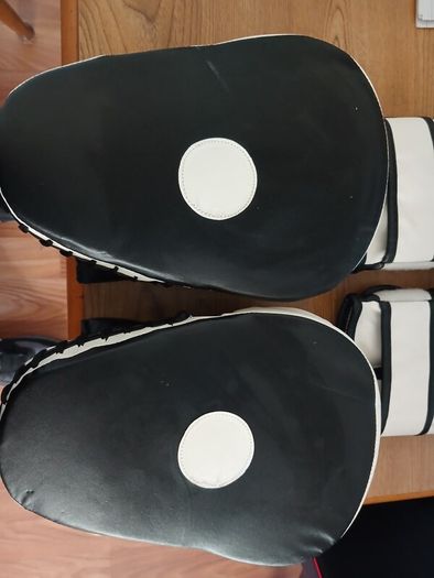 Sparring Gloves & Pads