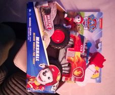 Paw patrol , Marshall rescue wheels