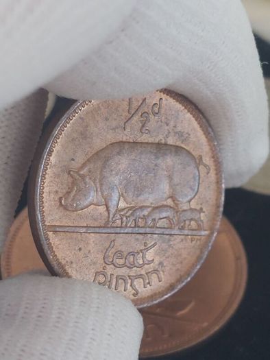1966 specimen coin set
