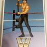 WWE Ultimate Edition Coliseum Collection Ricky "The Dragon" Steamboat Image 2