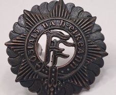 Irish Defence Forces Officers Cap Badge - Oglaigh na hEireann