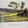 Daniel Corkery 1878-1964 Image 3