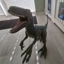 2ft dinosaur jurassic world raptor (blue) Image 4