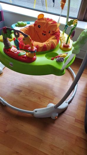 Fisher-Price Roarin' Rainforest Jumperoo