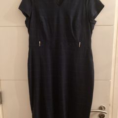 Next Navy Dress