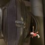 Lee Cooper black rucksack. New. Image 8