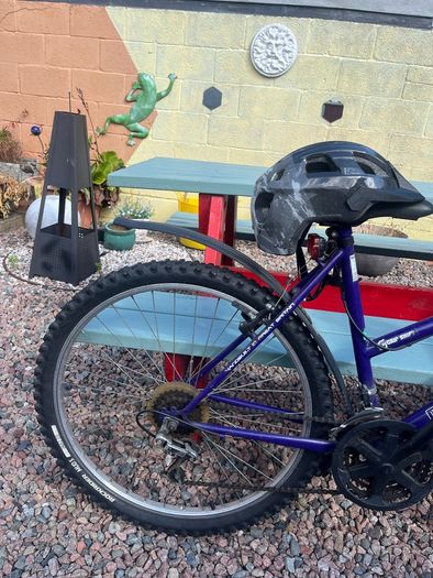 bike size 24
