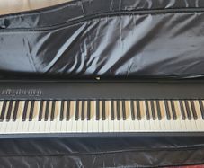 Roland FP30X Digital Piano