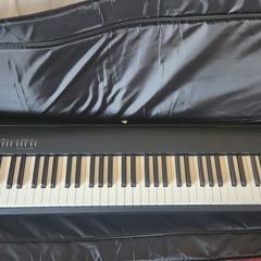 Roland FP30X Digital Piano