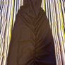 Midi Dress Image 2