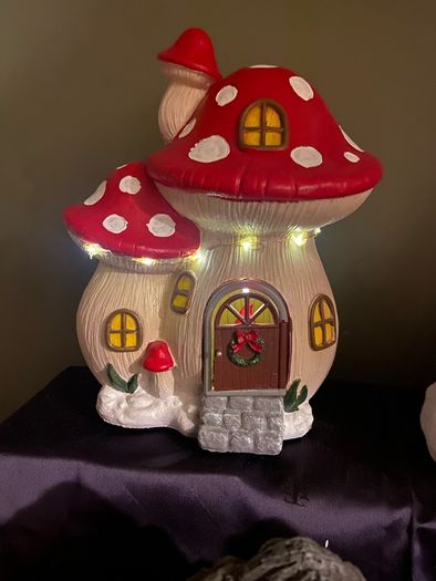 Adorable christmas gonk house