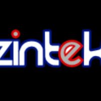 Zintek Systems ltd Jobs in Ireland