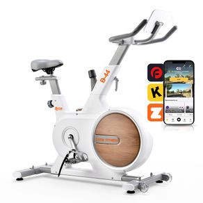 B44 Magnetic Excercise Bike