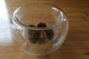 Large Double Wall Glass Bowl