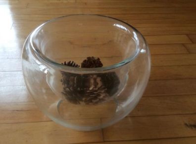 Large Double Wall Glass Bowl
