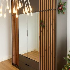 Wardrobe Nelly 4D Graphite