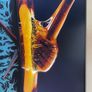 Acer Nitro 144hz Monitor Image 4
